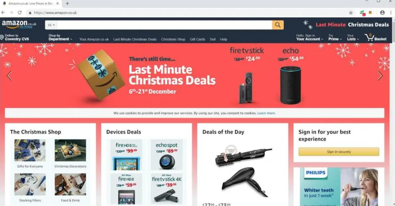 亚马逊的优劣势分析论文__亚马逊的劣势分析