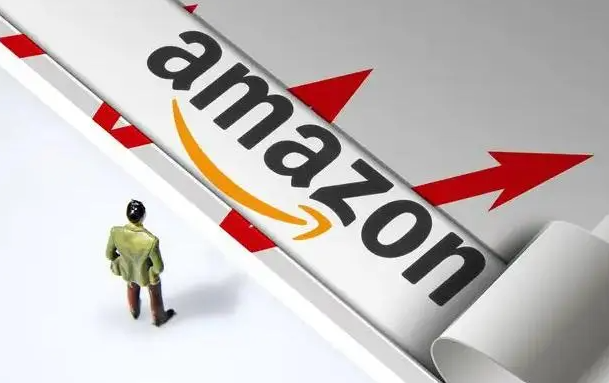 _亚马逊新品推广活动方案_亚马逊新品推广流程图