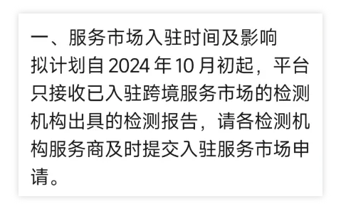 2025年Temu黑五大促及平台新动向_2025年Temu黑五大促及平台新动向_
