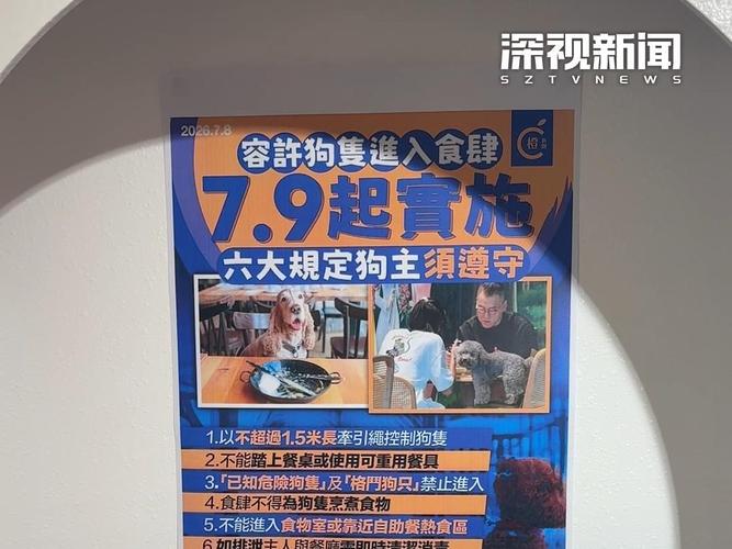 香港容许狗只进入获准食肆 实施5天收20宗投诉_香港容许狗只进入获准食肆 实施5天收20宗投诉_