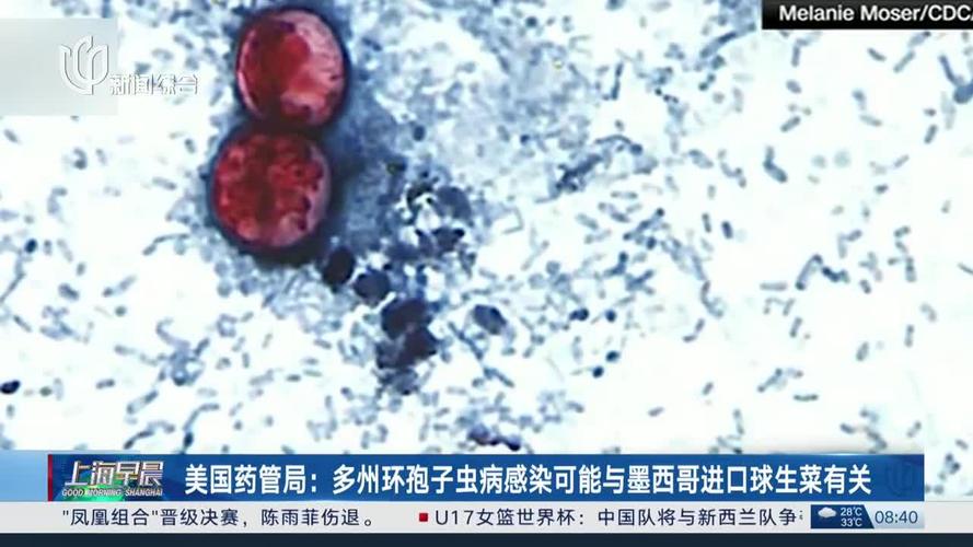 墨西哥是什么蔬菜_墨西哥菜健康吗_