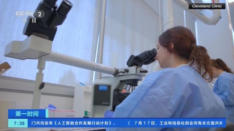 墨西哥菜健康吗_墨西哥是什么蔬菜_