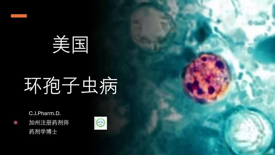 _墨西哥菜健康吗_墨西哥是什么蔬菜