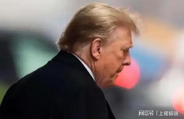 特朗普与欧盟舌战__欧盟科技巨头