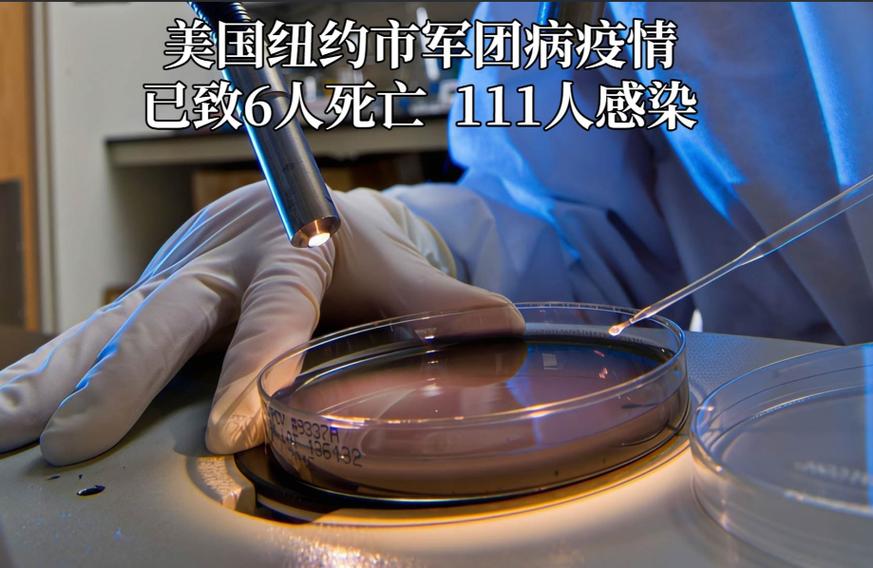 辽宁疫情最新消息29人死亡_人感染羊痘病毒的治疗_